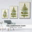 Garden Ferns V, reproduction d'art sur toile-305280085-305280084