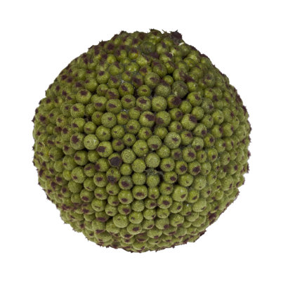 Berry Ball (Set of 6)