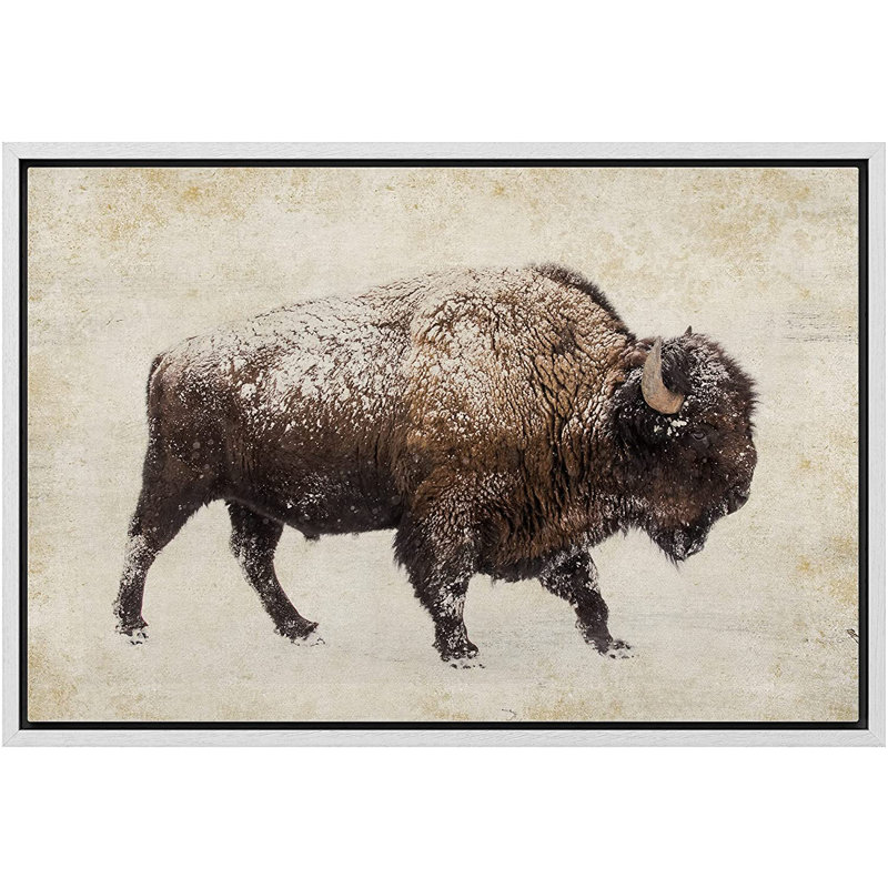 Sépia double exposition Buffalo Bison, art mural rustique, décor de ferme encadré sur toile, H 16 po x l 24 po, Blanc