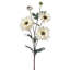 Daisy Shasta vaporisateur 24 po -1310818751
