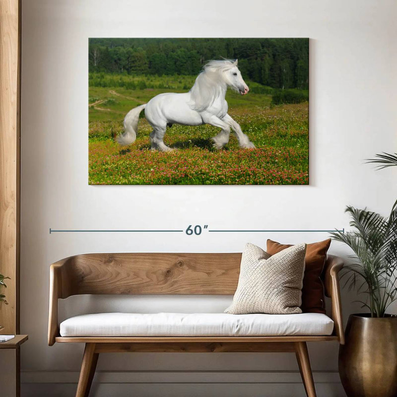 Bramire Shire cheval dans la prairie