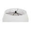 Olia Table Lamp