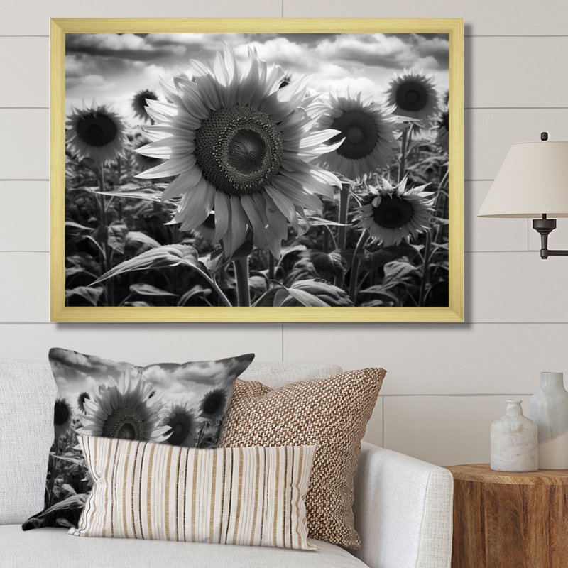 Tournesol noir et blanc I, Encadrement doré, H 12 po x l 20 po x P 1 po