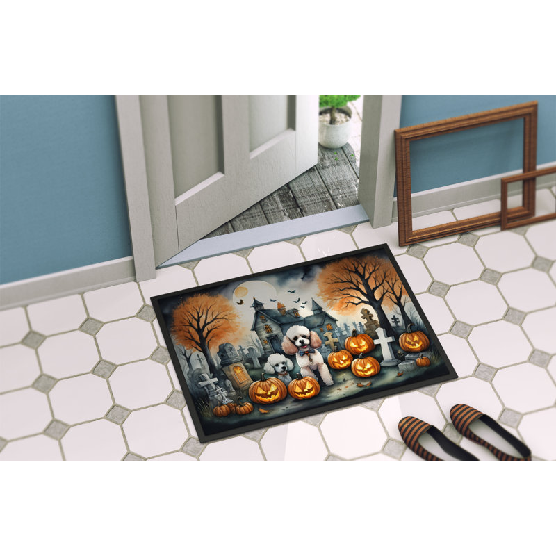 Tapis d'intérieur / extérieur antidérapant 27 po x 18 po Norlisha