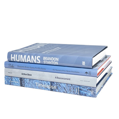 Ice Colorstak Decorative Book