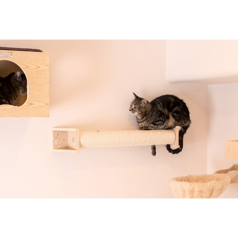 Scratching Post