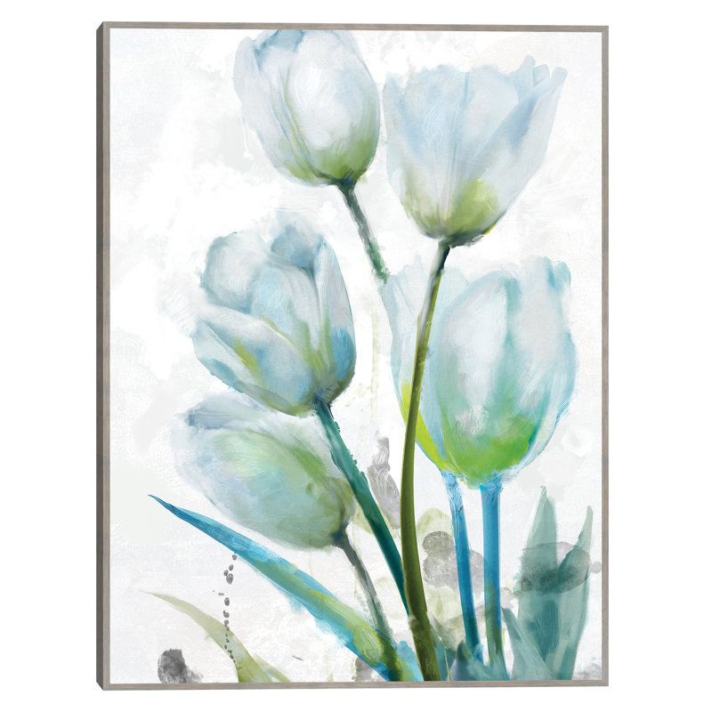 Large Red and White Tulip Canvas Art Print