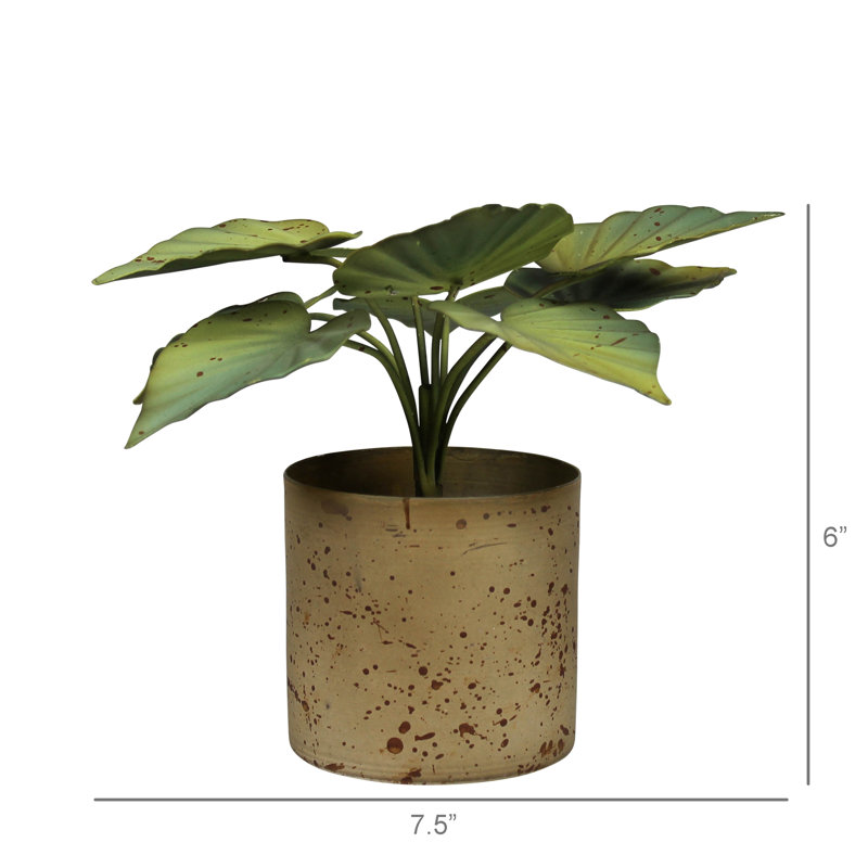 Pot avec feuilles vertes, aluminium