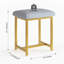 Metal Accent Stool