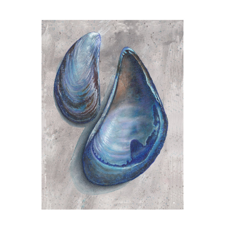 Art sur toile «coquille de moule», H 19 po x l 14 po