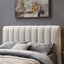 Lit Celal-102673533