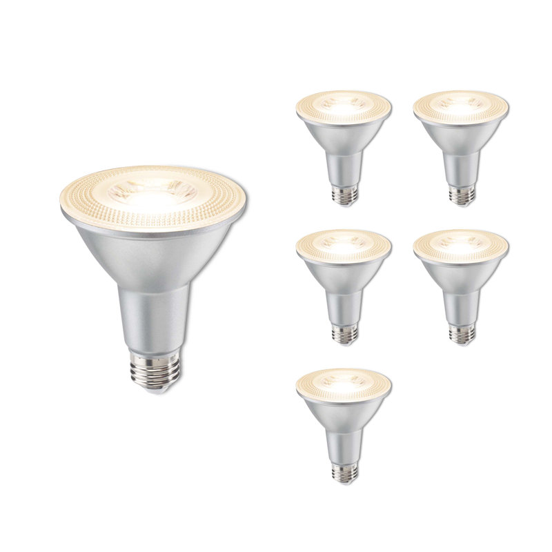 10 W (équivalent à 75 W), DEL PAR30L, ampoule à intensité variable, blanc chaud (2 700 K) E26 / base moyenne (standard)