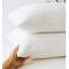 Ensemble de draps 4 pièces en mousseline de coton blanc et beige-115101396-115101394