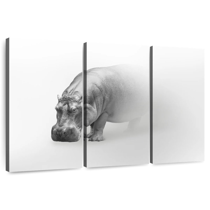 Brampt Phantom Hippo, 20" H x 33" W