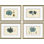 Blue Coral Giclee Print by Paul Cezanne