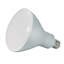13 Watt LED Bulb-606975859