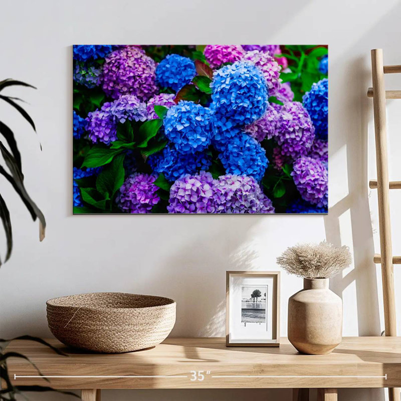 Jardin d'hortensias, H 16 po x l 24 po