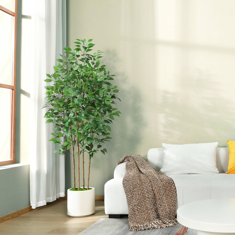 Adcock 70" Faux Ficus Tree in Pot with White Planter, Faux Green Ficus Plant, Fake Tree for Home Décor, 70" H x 18" W x 18" D