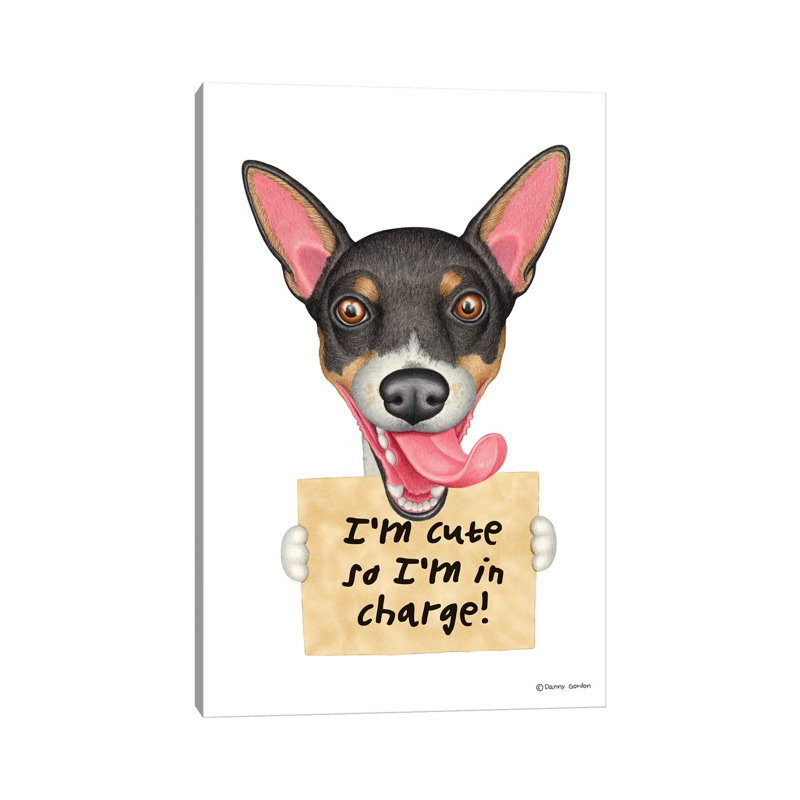 Rat terrier, H 18 po x l 12 po x 1,5 po