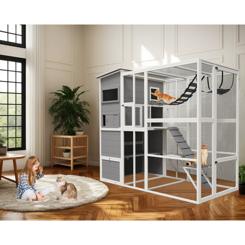 Enclos pour chat Tucker Murphy Pet Catio, Blanc