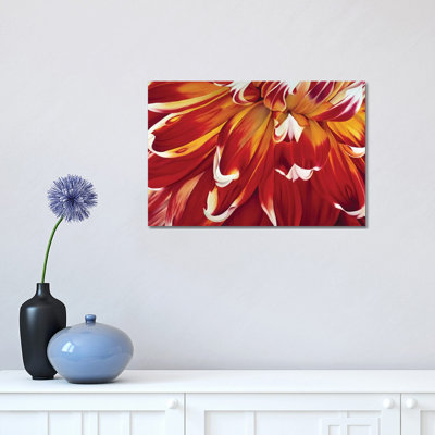 Redony 1 Piece Wrapped Canvas Painting