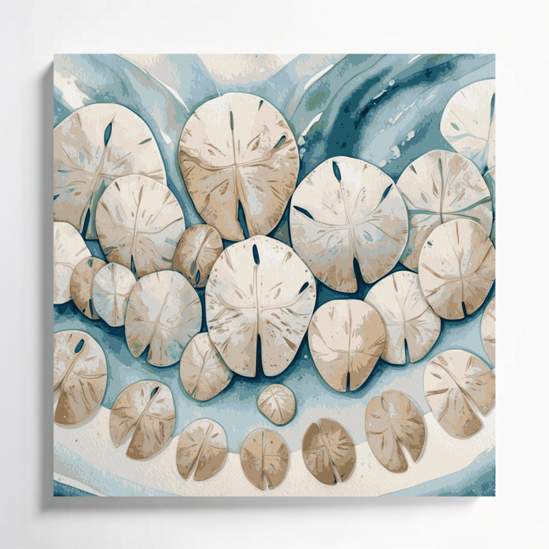 Nautical Sand dollars Grey Canvas Wall Art, 12" H x 12" W