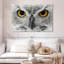 Staring Eagle Owl-107693132