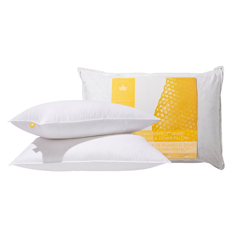White Feather & Down Pillow, Queen, Medium
