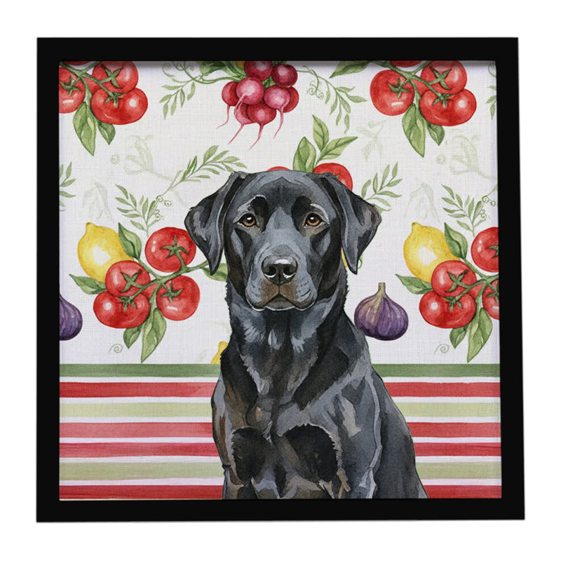 «Black Labrador Retriever Légumes», impression sur métal encadrée, Noir