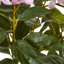 Faux Hydrangea Plant in Pot-111171304-111171305
