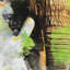 Print on Canvas-32007322-32007331