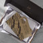 Housse de coussin 100% coton percale