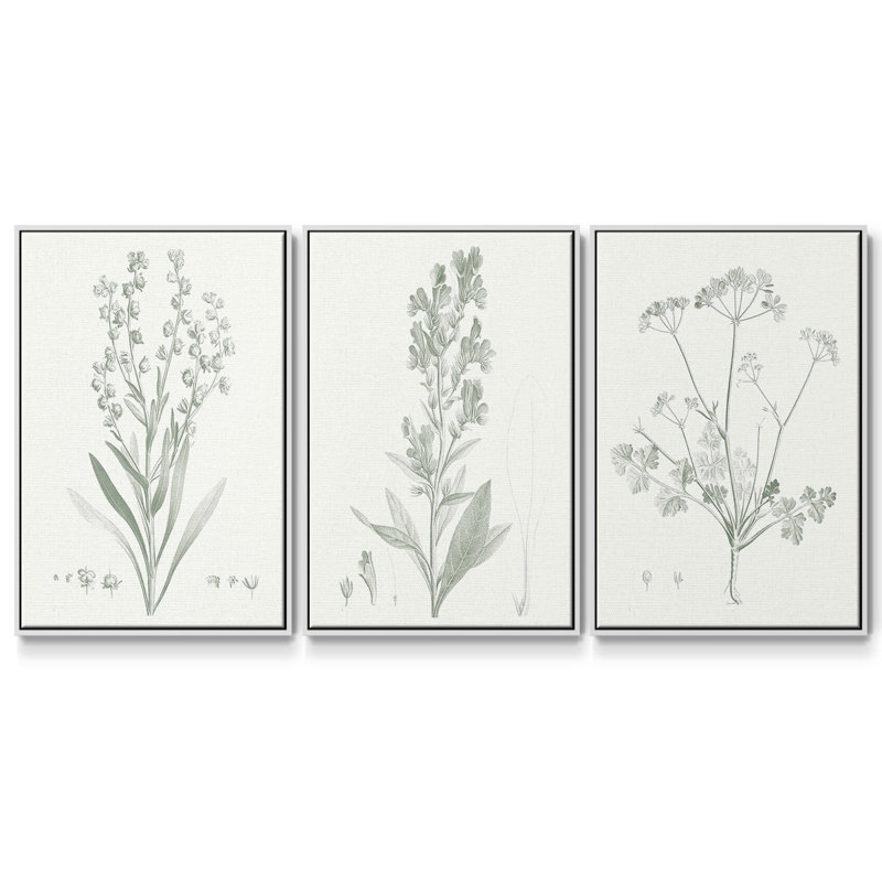 Étude botanique en sauge I 3 pièces, Blanc, H 27 po x l 54 po