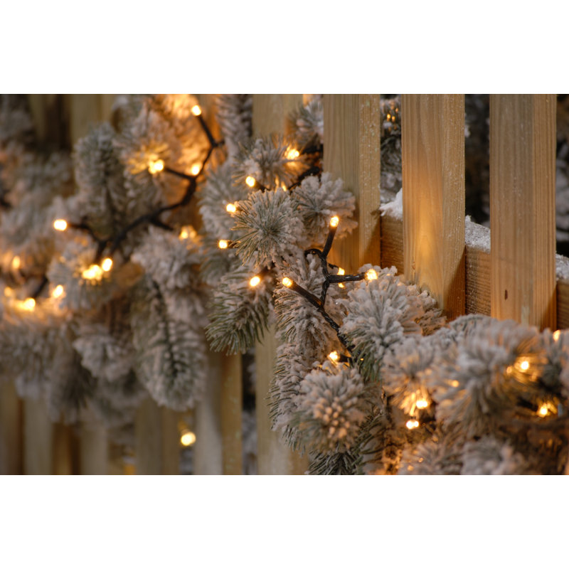 0.5cm LED Twinkle Indoor / Outdoor String Lights