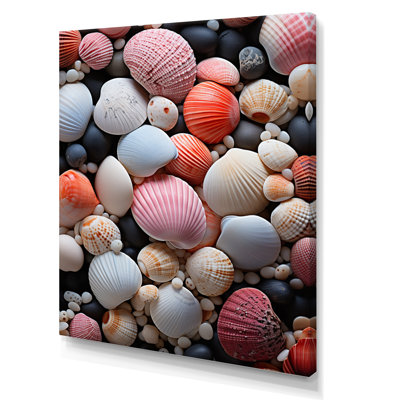 Coquillage rose sur la plage - impression