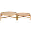 Odelia Coffee Table