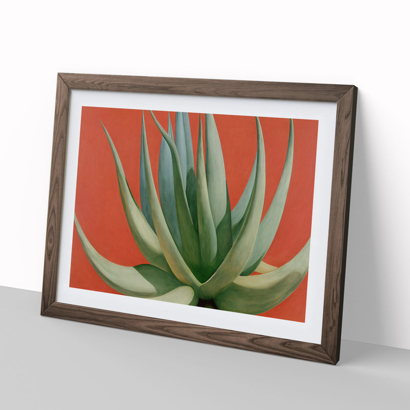 Compelling Aloe Vera Plant - Single Picture Frame Print, Walnut Framed, 34cm H x 46cm W x 2cm D