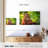 Leaf Munching Orangutan-107887510
