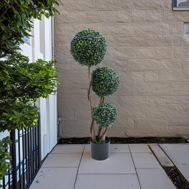 89cm Plant