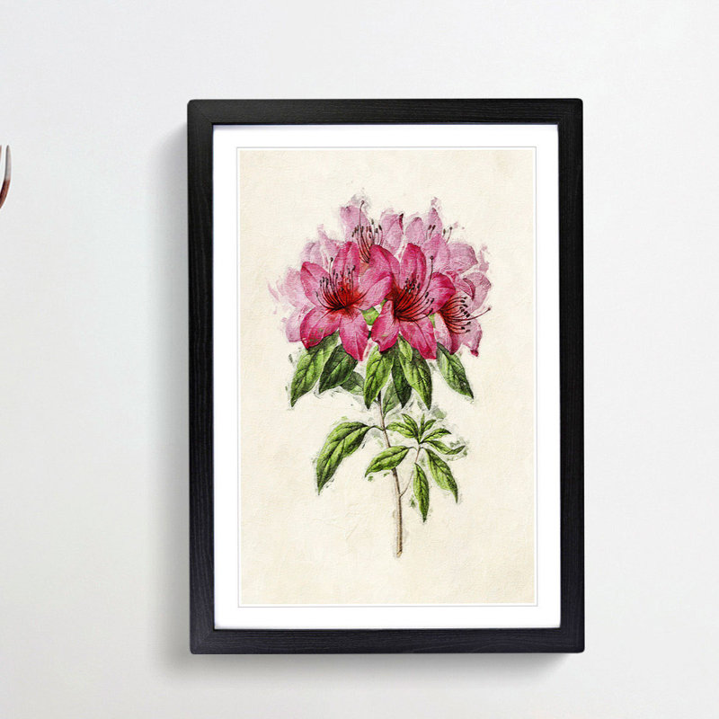 Illustration of a Bunch of Pink Azaleas - Picture Frame Painting Print, 65cm H x 48cm W x 2cm D, Black Framed