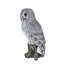 Polyresin Garden Statue-651025578