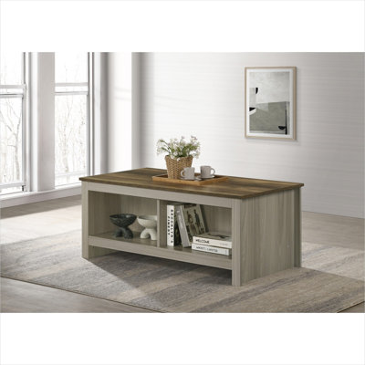 Table basse avec tablettes ouvertes double face, bois d'ingénierie au fini chêne gris, design rectangulaire de 43 pouces pour le rangement du salon