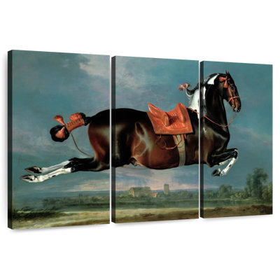 Brampt The Piebald Horse Cehero Rearing