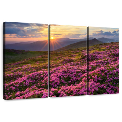 Alvord Sunlit Rhododendron Flower Field