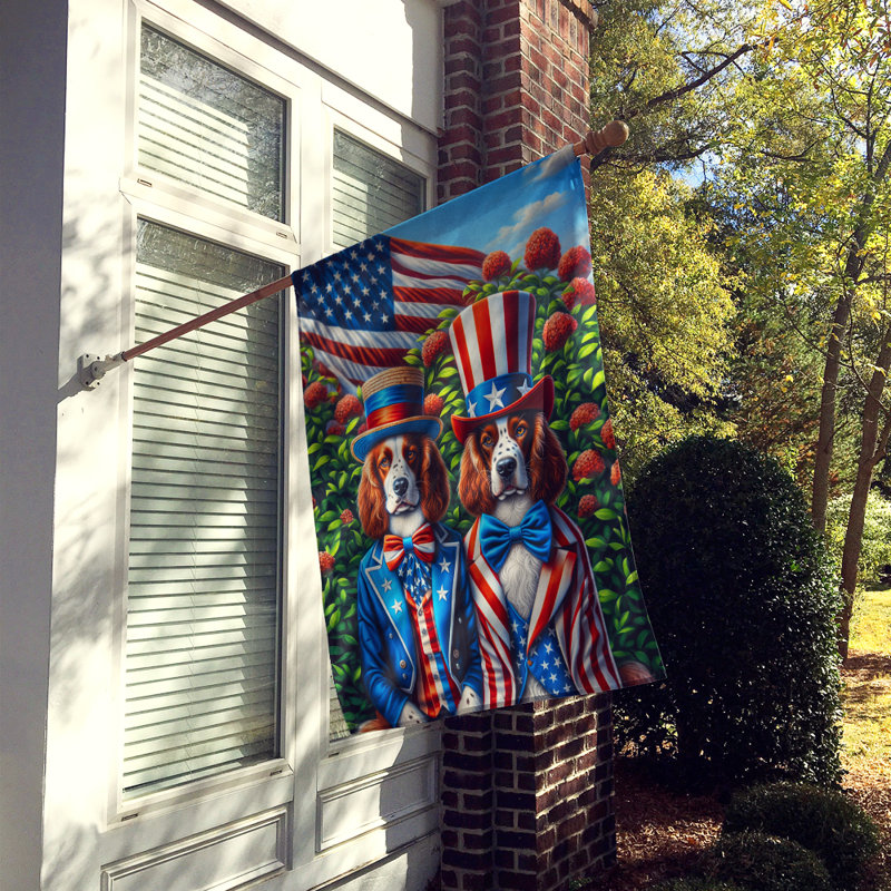 Drapeau «All American House», Épagneul Springer gallois