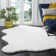 Godeleine Shag Hand Woven Performance Solid Color Rug