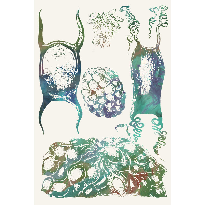 Aquatic Assemblage VI by Sharon Chandler - Painting, 30 cm H x 20 cm W, Wrapped Canvas