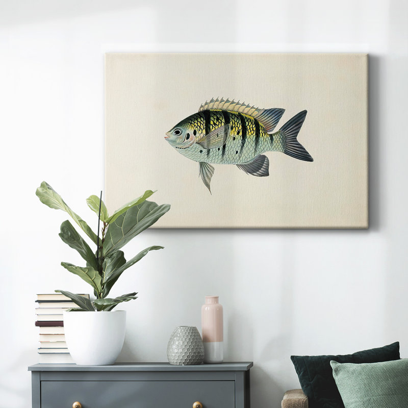 Toile tendue collection Tropical Fish Collection VI-Gallery, H 12 po x l 18 po