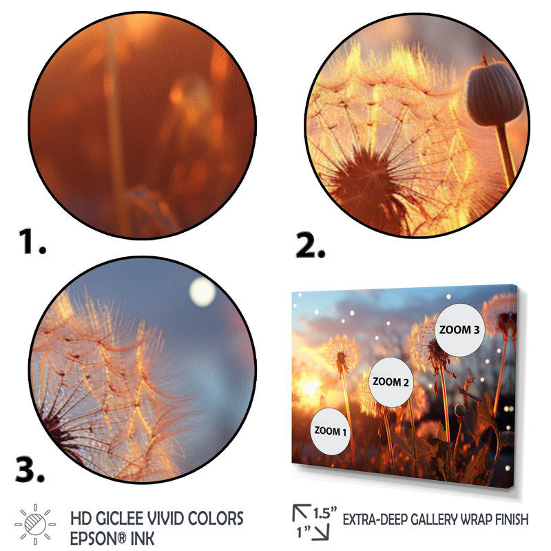 Dandelion Morning Moments III - Floral Wall Decor, H 34 po x l 44 po x P 1,5 po, Toile tendue