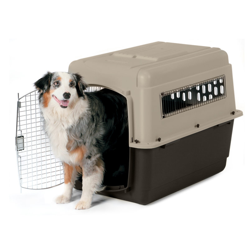 Plastic Pet Carrier with 1 Door, 27" H x 25" W x 36" D